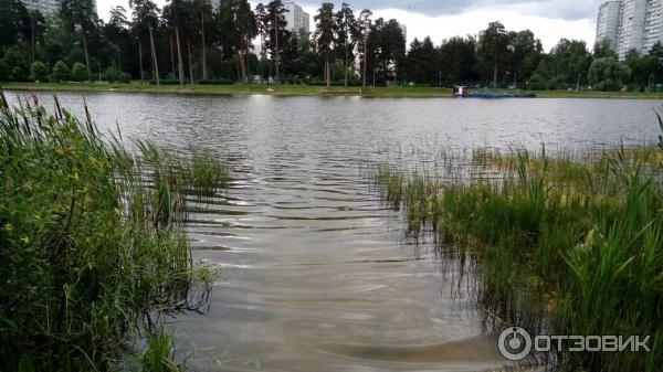 Озеро школе фото Отзыв о Пляж "Школьное озеро" (Россия, Зеленоград) Уютное местечко для отдыха в 