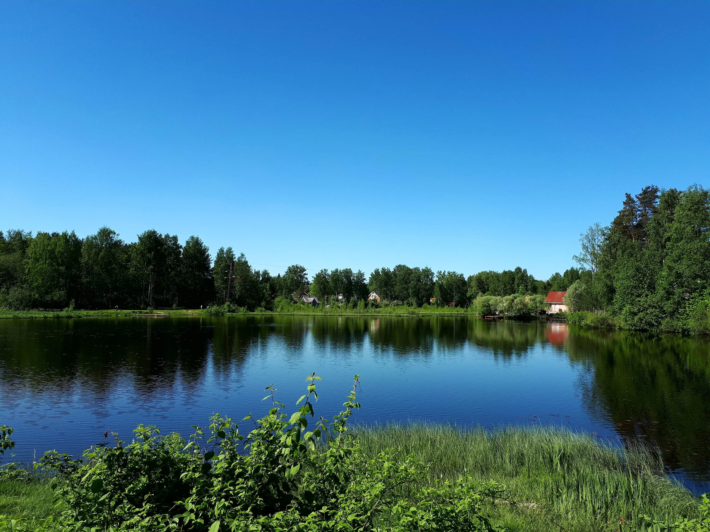 Озеро шувалово фото File:493. Toksovo. Veroyarvi Lake.jpg - Wikimedia Commons