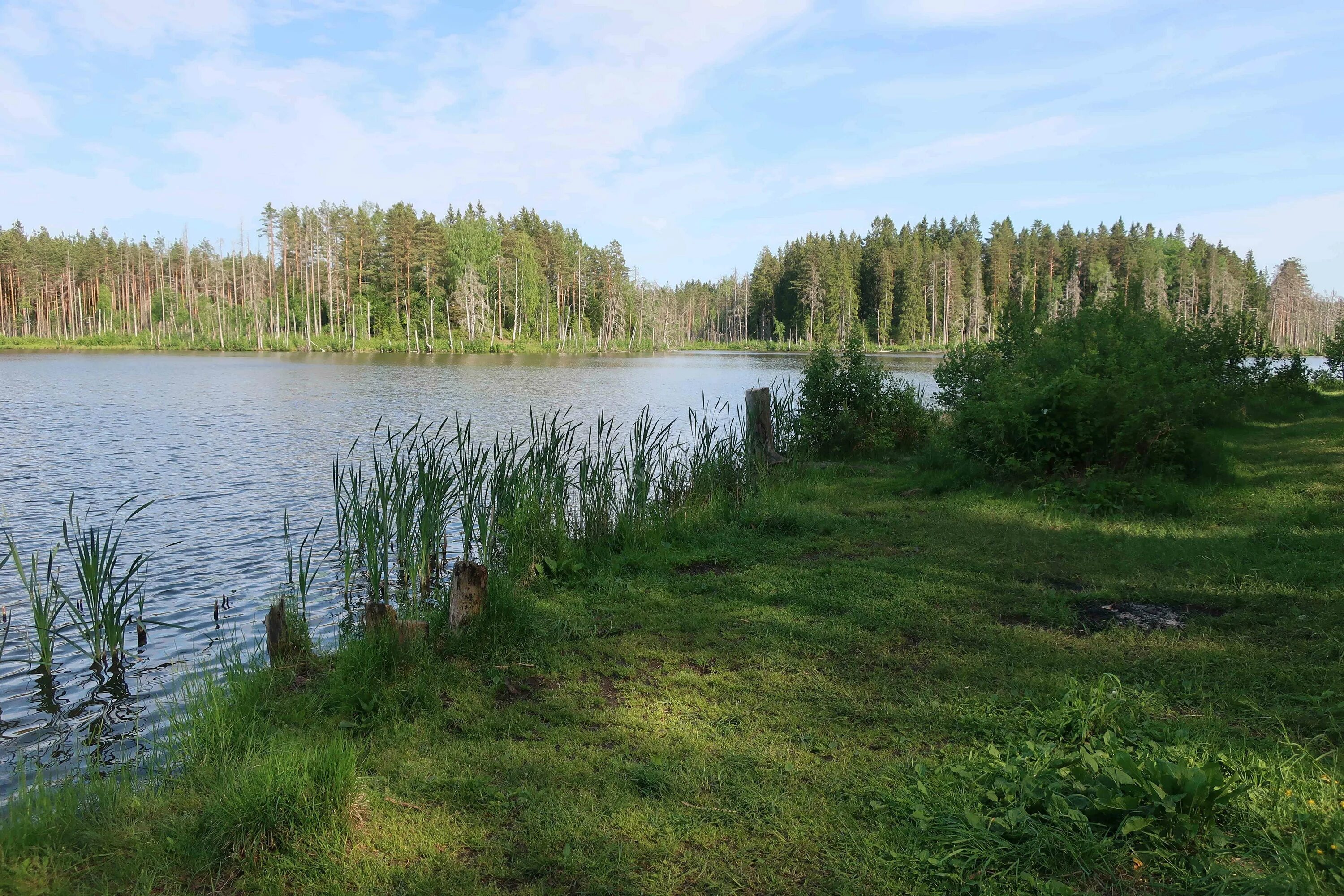 Озеро шувалово фото Фотографии озера Паскояярви в Ленинградской области RiverGid.ru