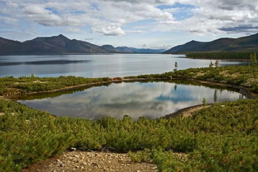 Озеро сиван фото Северо-Восточный федеральный университет им. М.К. Аммосова
