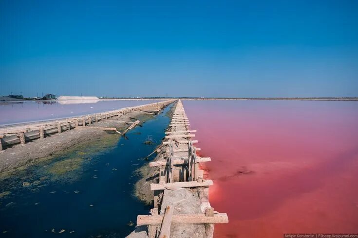 Озеро сиваш в крыму фото sasyk-sivash-the-largest-lake-of-the-crimea-14 Airplane view, Lake, Travel