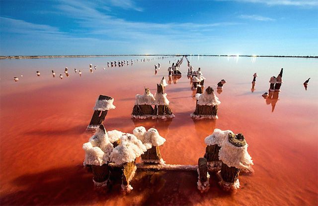 Озеро сиваш в крыму фото Rotten Sea by Sergey Anashkevych Salzkruste, Salz, Heilerde