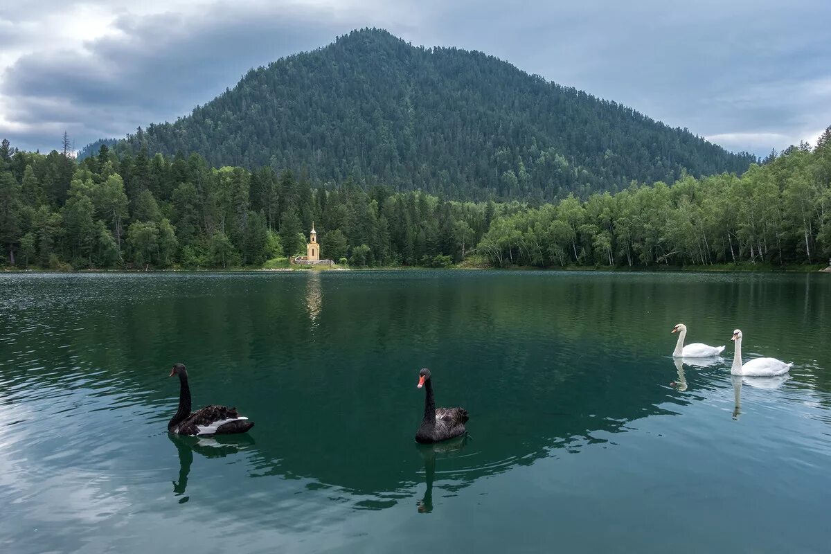 Озеро сказка фото Выдрино