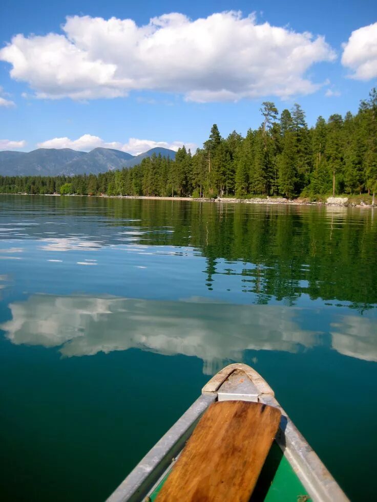 Озеро сколько фото flathead, montana. Flathead lake, Flathead lake montana, Lake
