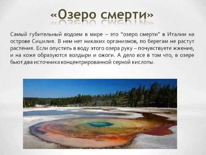 Озеро смерти фото и описание Чем интересно озеро, которое "выпил" уралмаш?