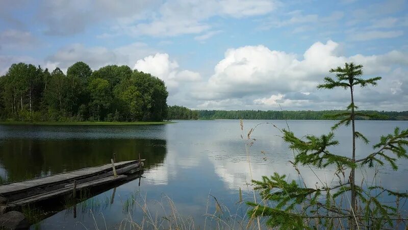 Озеро содошное кирилловский район фото Озера кирилловского района - Азимут Тур