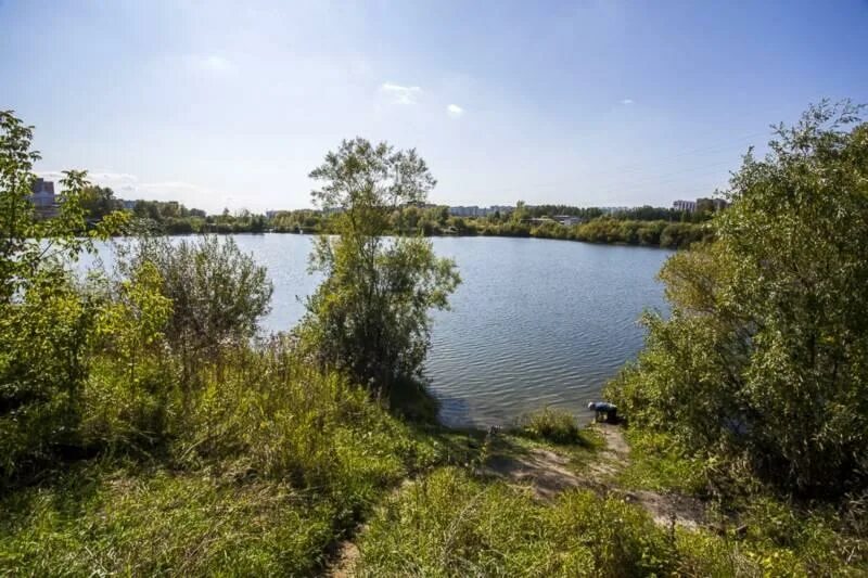 Озеро спартак новосибирск фото Сегодня в Братске пройдет экологическая акция "Чистый берег": Яндекс.Новости