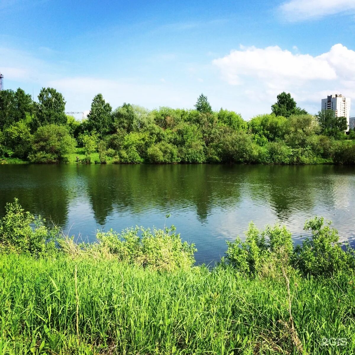 Озеро спартак новосибирск фото Новосибирский район, Озеро Спартак - 2ГИС