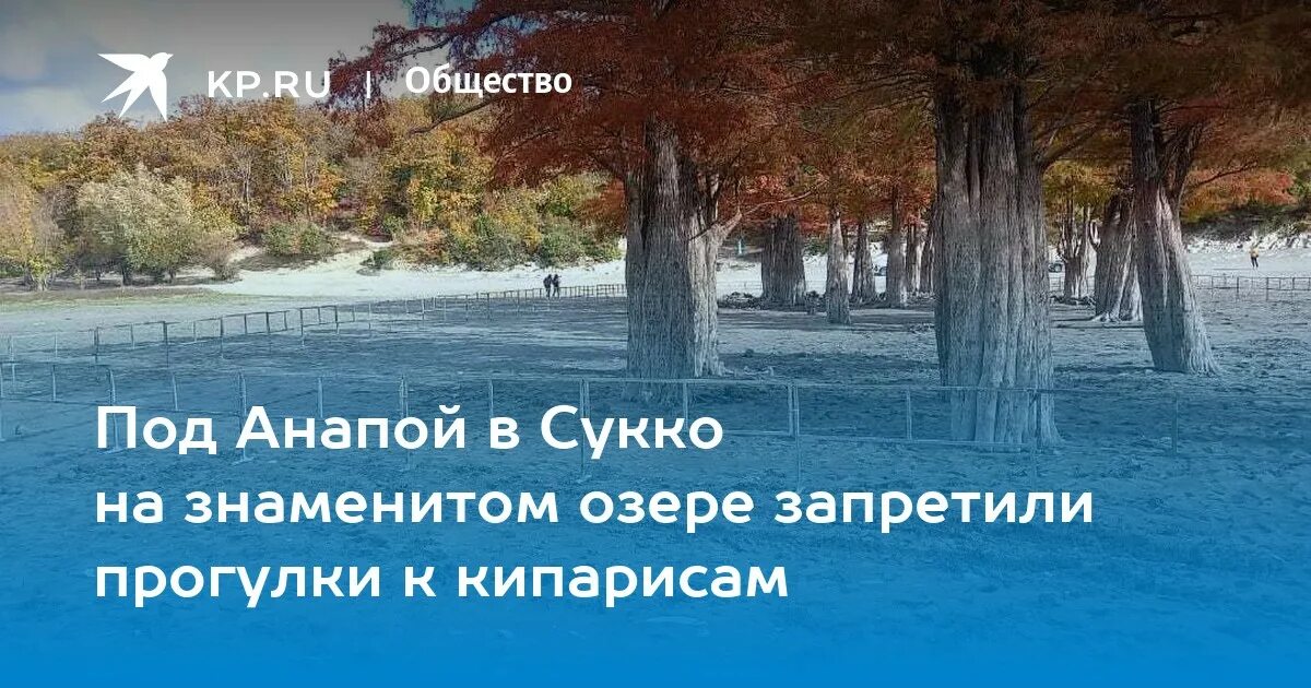 Озеро сукко 2024 фото Под Анапой в Сукко на знаменитом озере запретили прогулки к кипарисам - KP.RU