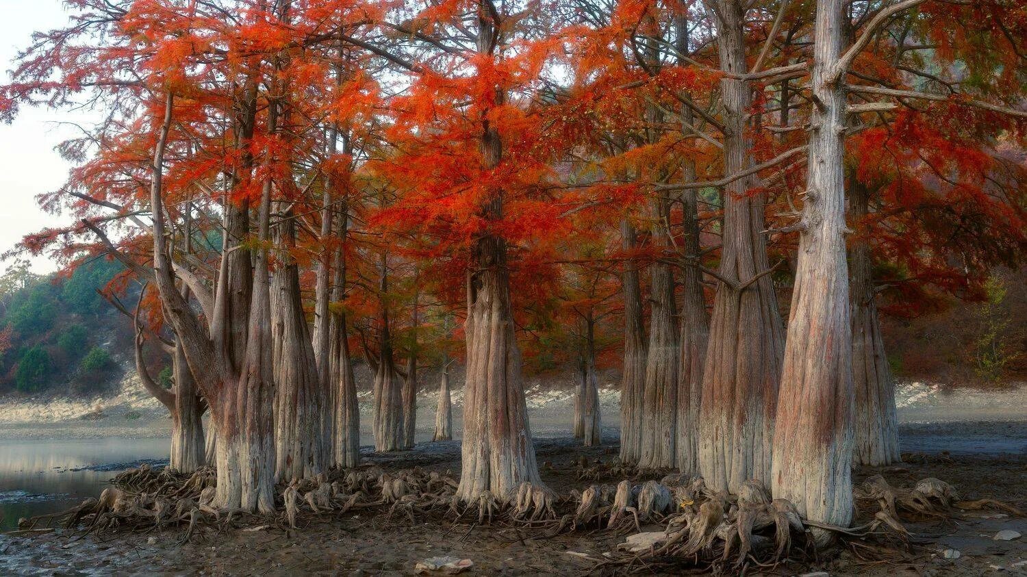 Озеро сукко сейчас как выглядит Photo contest Natural landmarks of the planet - 35AWARDS