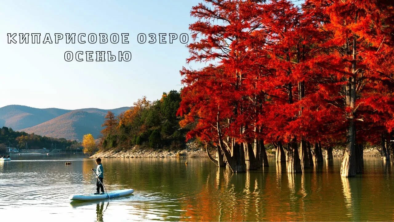 Озеро сукко в анапе фото сейчас Кипарисовое озеро в Сукко осенью. Красные кипарисы. Отдых в Сукко - YouTube