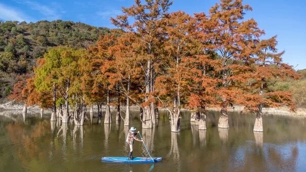 Озеро сукко в анапе фото сейчас Be sure to visit - cypress artificial lake Succo near Anapa 2022 TIME VK