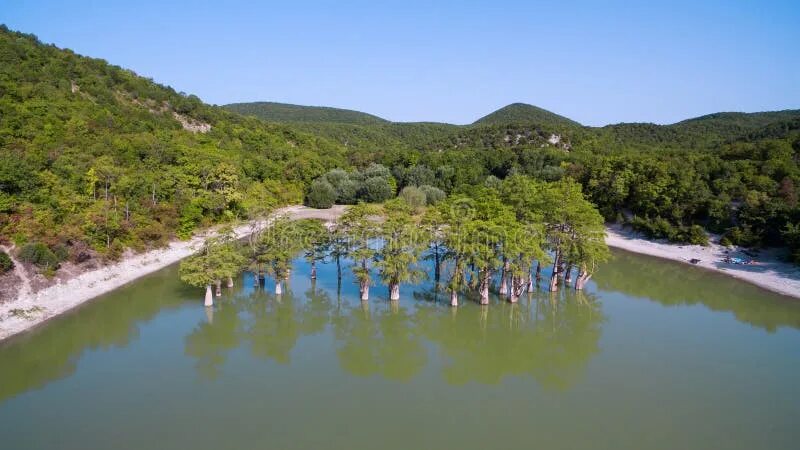 Озеро сукко в анапе фото сейчас Cypress Trees in Sukko Lake. Anapa. Russia Stock Photo - Image of sukko, nature: