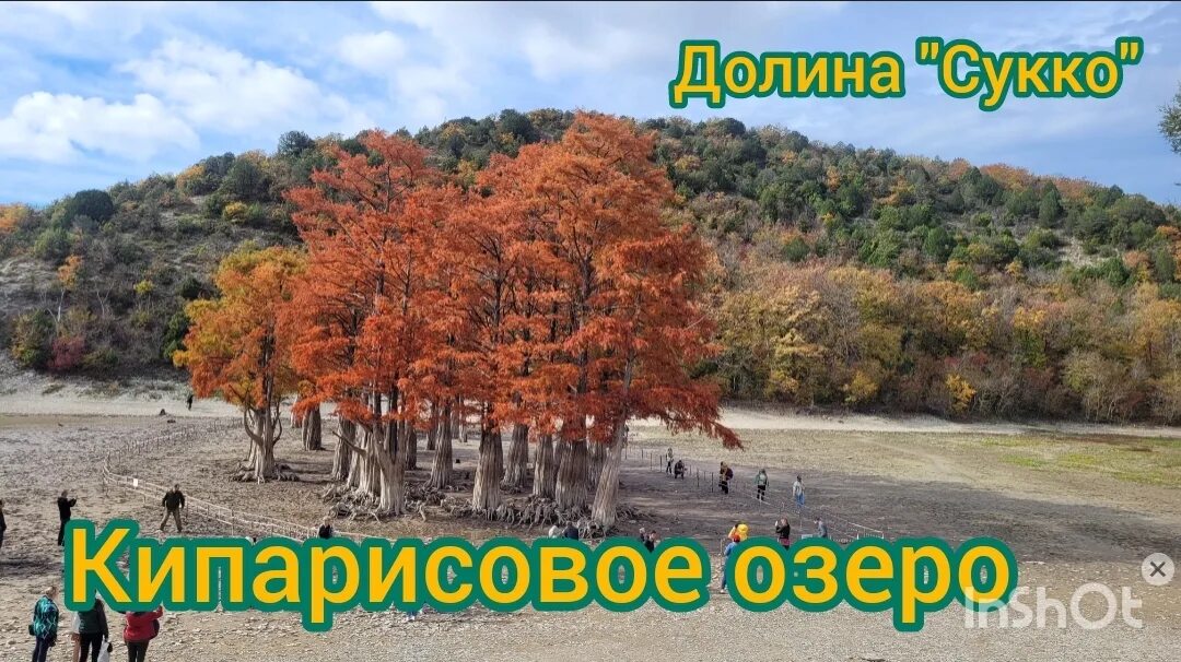 Озеро сукко в ноябре фото Кипарисовое озеро. Долина Сукко. Анапа - смотреть видео онлайн от "Баламут и Бел