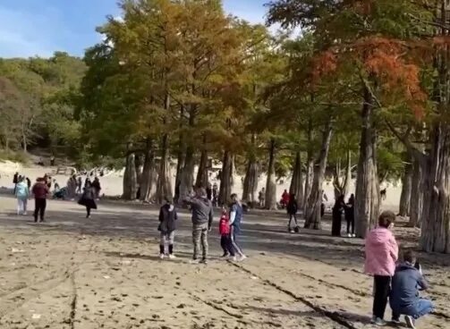 Озеро сукко в ноябре фото Фотосессия у каждого дерева: жители Анапы переживают за сохранность болотных кип
