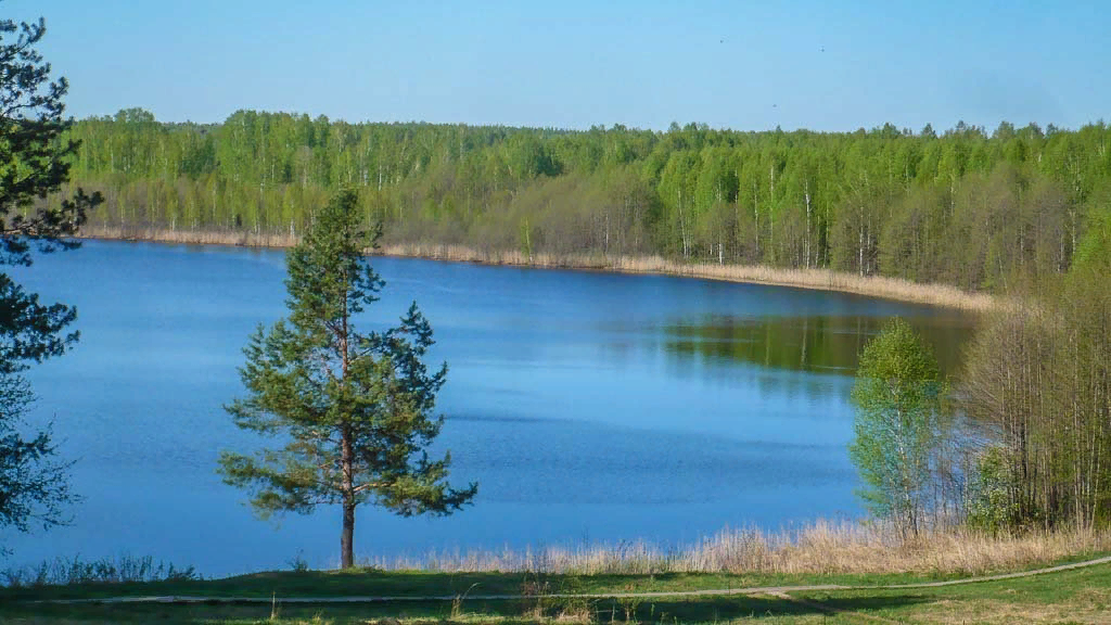 Озеро светлояр нижегородская фото Самые загадочные места России по версии китайского блогера: похоже, они внимател