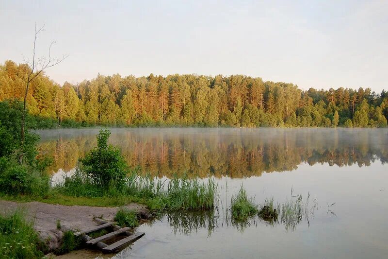 Озеро светлояр осенью фото Нижегородская экспедиция. Светлояр: h_moll - ЖЖ
