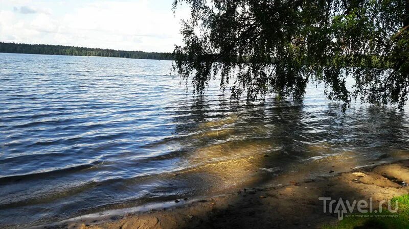Озеро свитязь беларусь фото Озеро Свитязь в Беларуси / Отзывы о Белоруссии / Travel.Ru