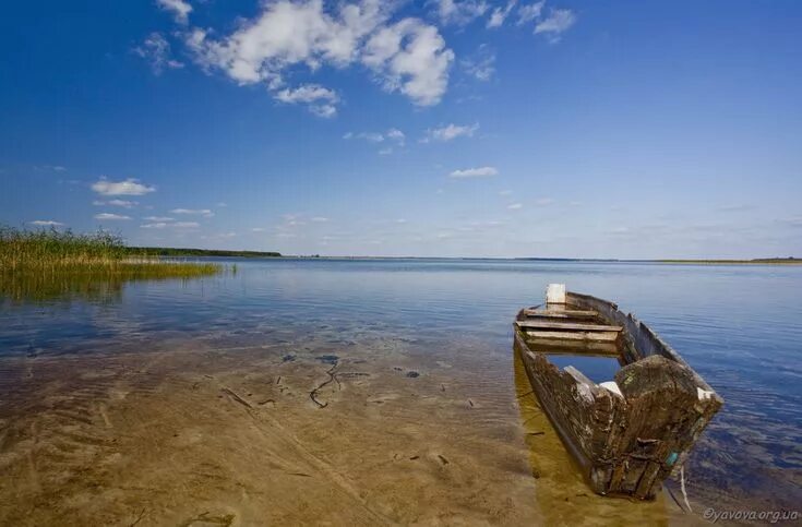 Озеро свитязь фото Шацькі озера: все, що потрібно знати про відпочинок тут Озера, Красивые места, Т