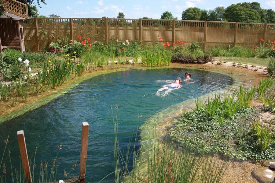 Озеро своими руками фото 199SUR_IMG_900x600_1105_09 Natural swimming ponds, Swimming pond, Diy swimming p