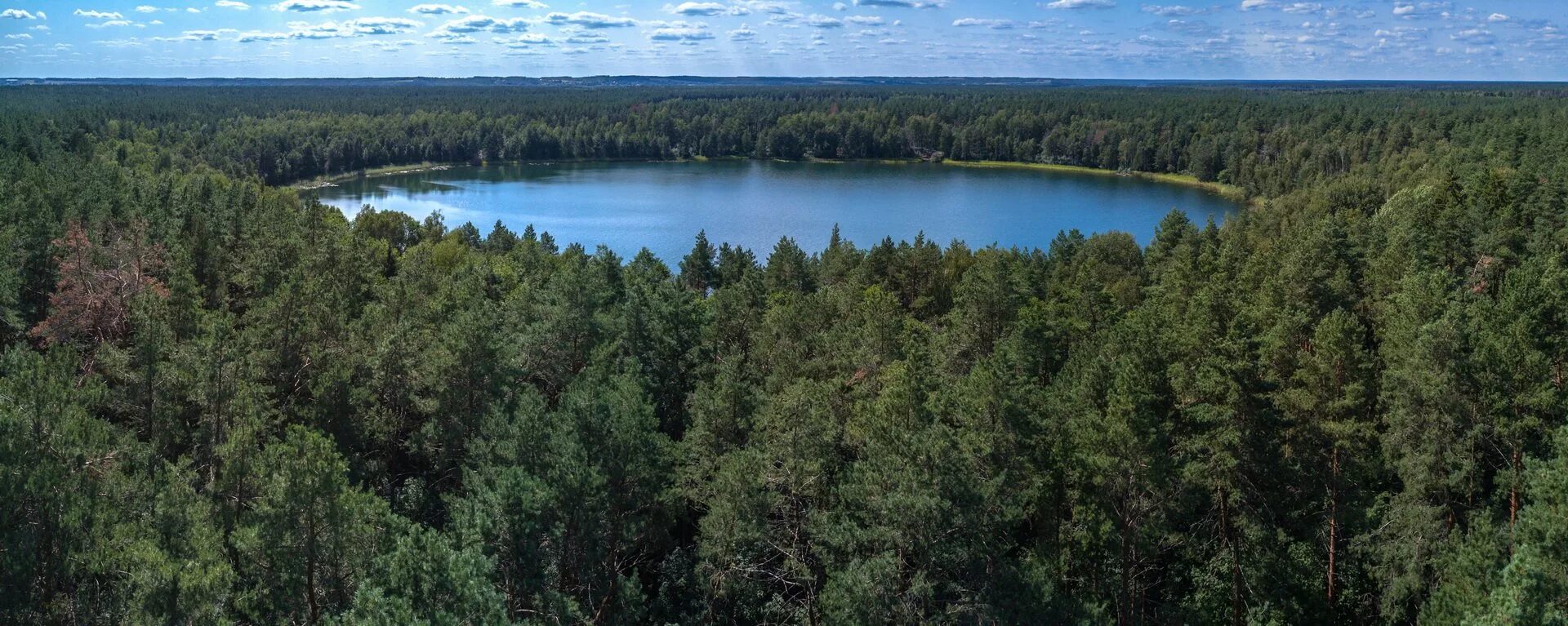 Озеро святое фото Озера брянской области фото YugNash.ru
