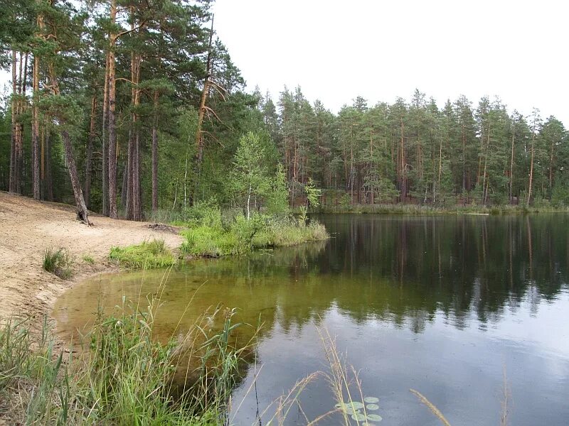 Озеро святое кулебакский район фото Дерганово озеро фото, видео - 38rosta.ru