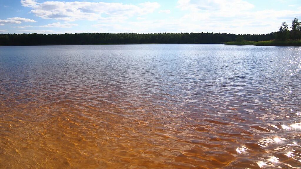 Озеро святое кулебакский район фото Пляж, beach, Nizhniy Novgorod Region, gorodskoy okrug Navashinskiy, territoriya 
