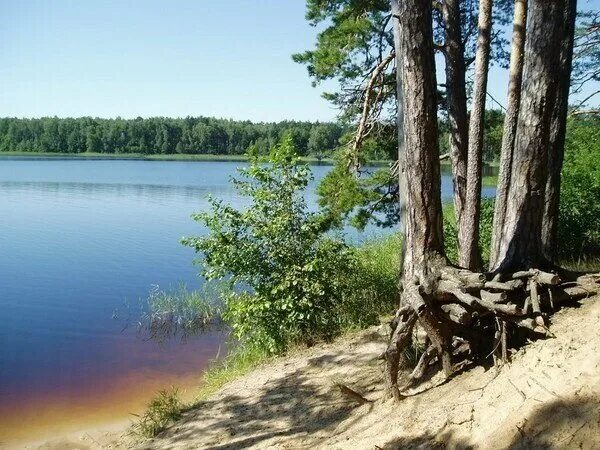 Озеро святое кулебакский район фото Детский лагерь Озеро Свято, детский лагерь отдыха, Нижегородская область, городс