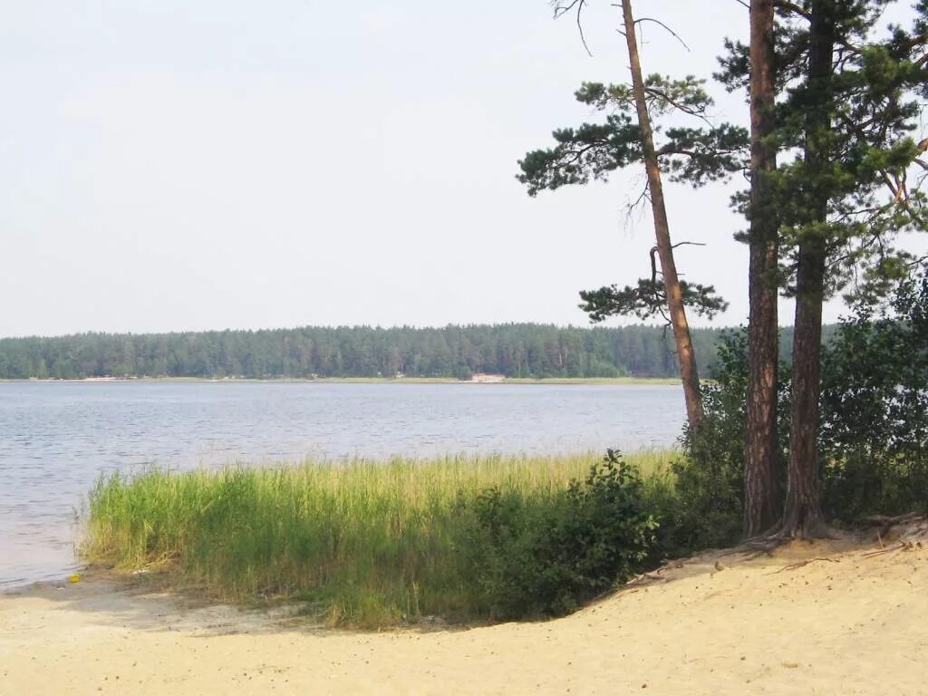 Озеро святое кулебакский район фото Лесное озеро с живой водой!