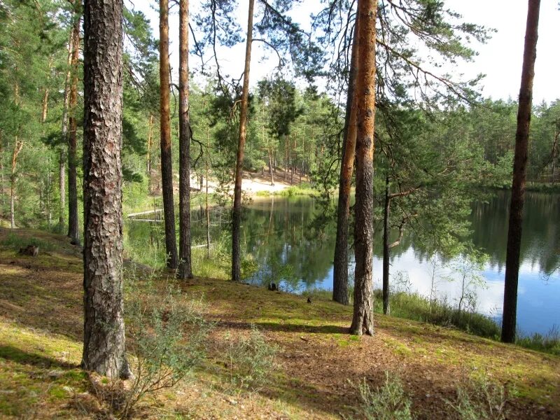 Озеро святое кулебакский район фото Дерганово озеро фото, видео - 38rosta.ru