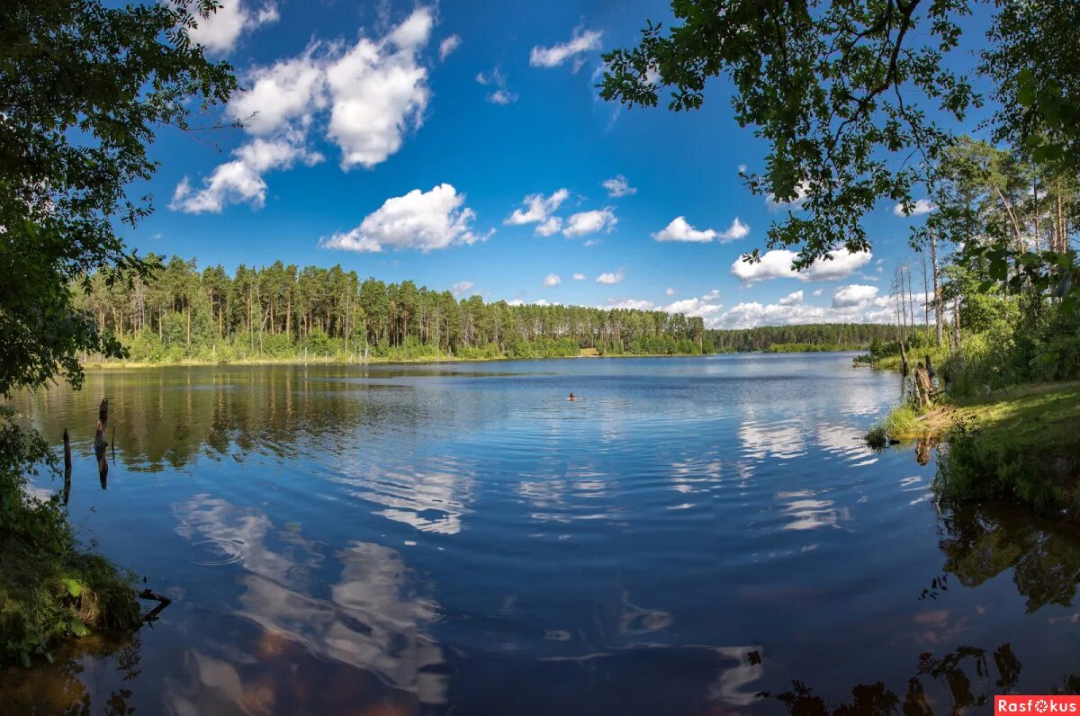 Озеро святое кулебакский район фото Фото: озеро Святое Тумботинское. Фотограф Дмитрий. Пейзаж - Фотосайт Расфокус.ру
