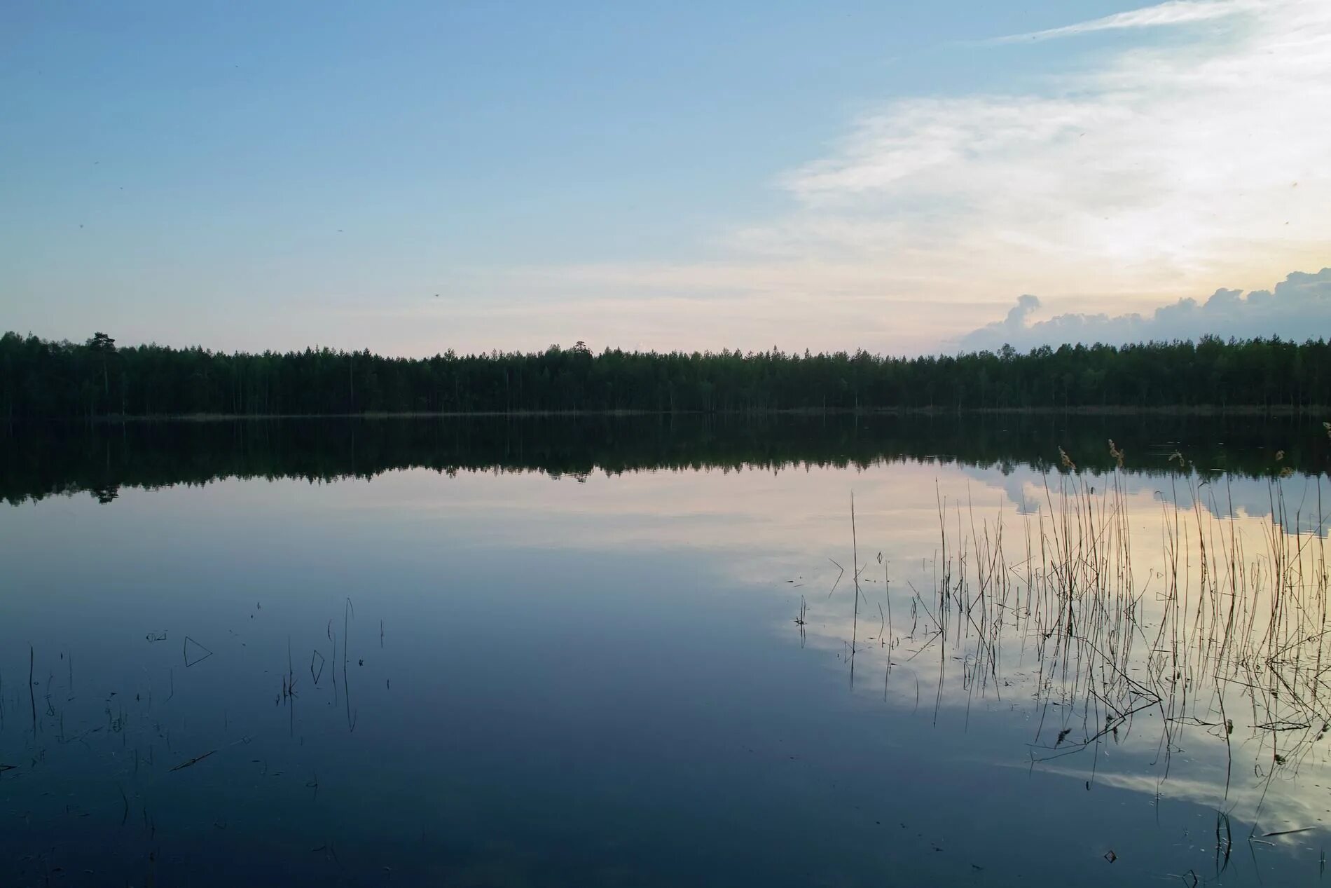 Озеро святое кулебакский район фото Рязанская Мещера. Вдоль Пры и не только