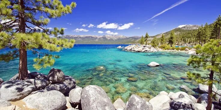 Озеро тахо калифорния фото Lake Tahoe Summer Family Vacation Guide Via Tahoe beaches, Lake tahoe beach, Lak