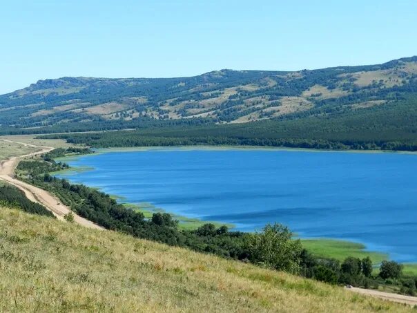 Озеро талкас башкирия базы фото Уникальный водоём нашего района готовится стать памятником природы регионального