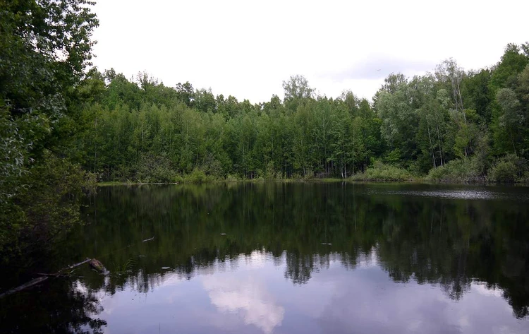 Озеро татарстана фото Чистое озеро татарстан фото