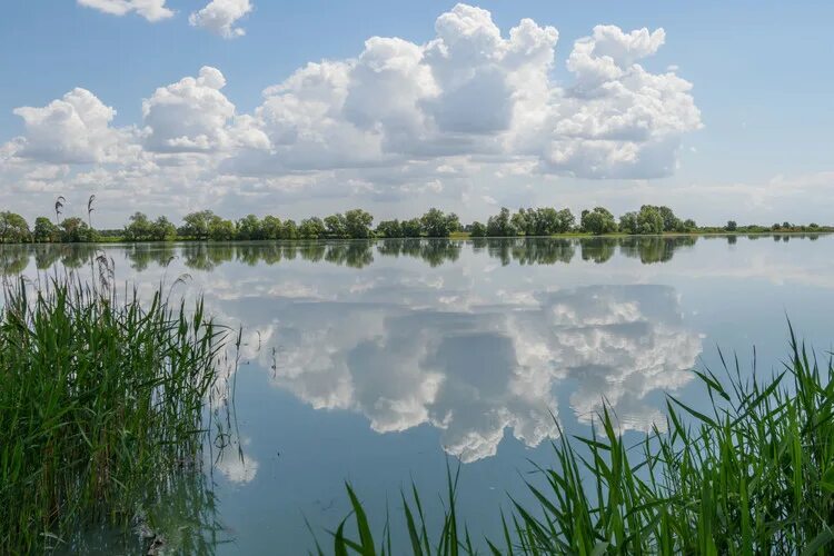 Озеро татарстана фото В Татарстане обнаружили озеро с целебными свойствами