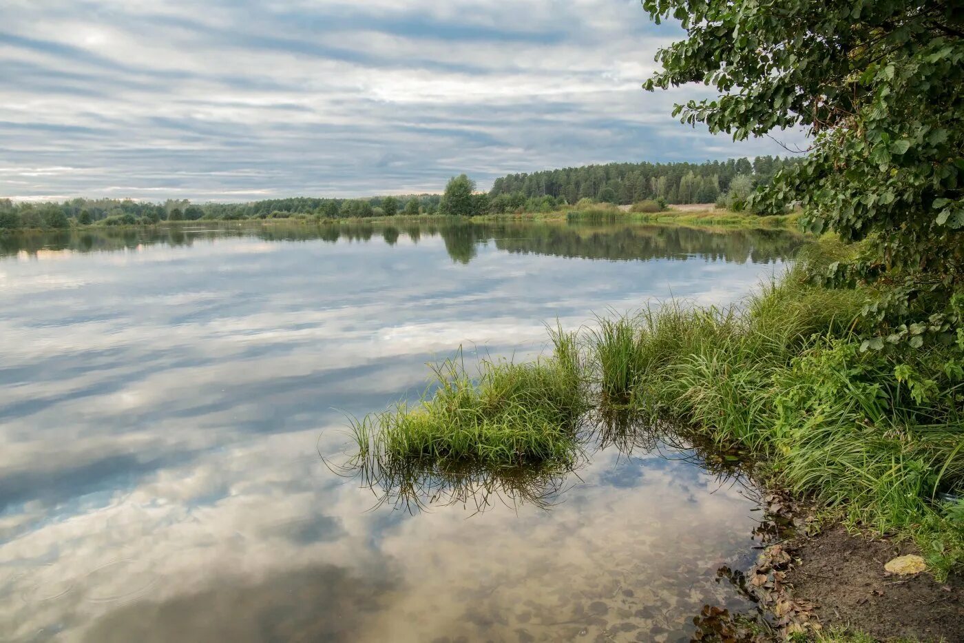Озеро татарстана фото Водоемы татарстана 60 фото Ast-Ohota.ru
