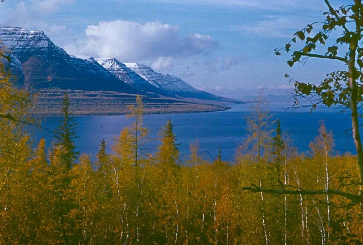 Озеро таймыр фото Отдых на озере Лама - фотографии норильского геолога 1970х годов. severok1979 Дз