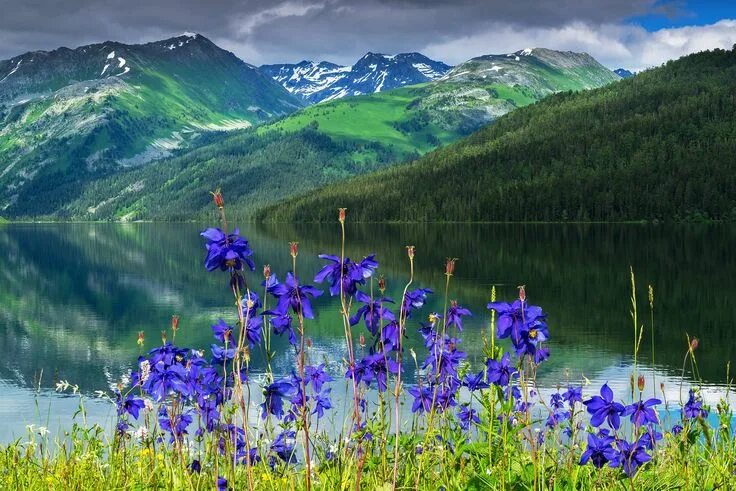 Озеро цветы фото Pin on Dağlar...Dağlar... Nature backgrounds, Beautiful nature, Sunset images