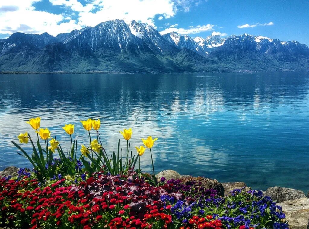 Озеро цветы фото Jigsaw Puzzle 165 pieces Spring by The Lake Jigidi
