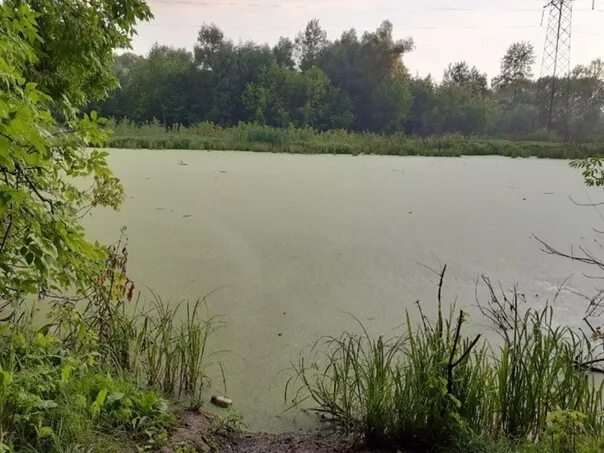 Озеро уфа фото The lake in Ufa scares the townspeople with stench The authorities responded: ht