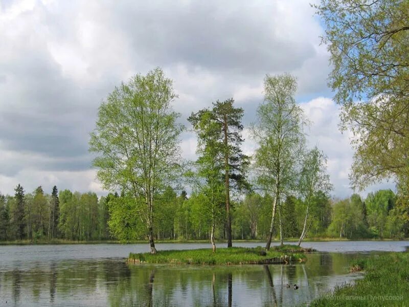 Озеро унеча фото Фотографии Гатчины - Антон Арбузов - ЖЖ