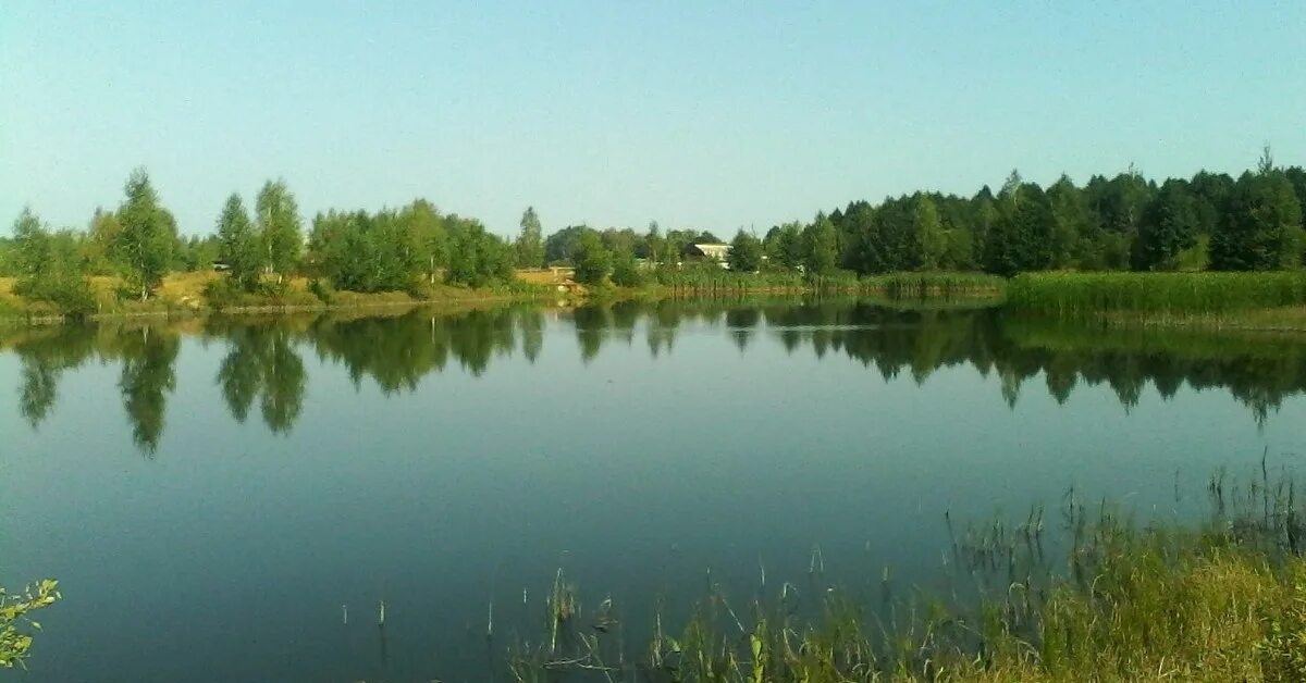 Озеро унеча фото Малая родина в Брянской области Пикабу