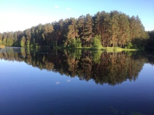 Озеро унеча фото Родник Белый Колодец Брянская Область ВСТОРОНЕ.РУ