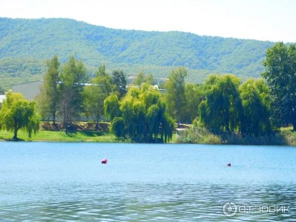 Озеро в горячем ключе фото Отзыв о Лебединое озеро (Россия, Горячий Ключ) Интересная экосистема. Очень крас