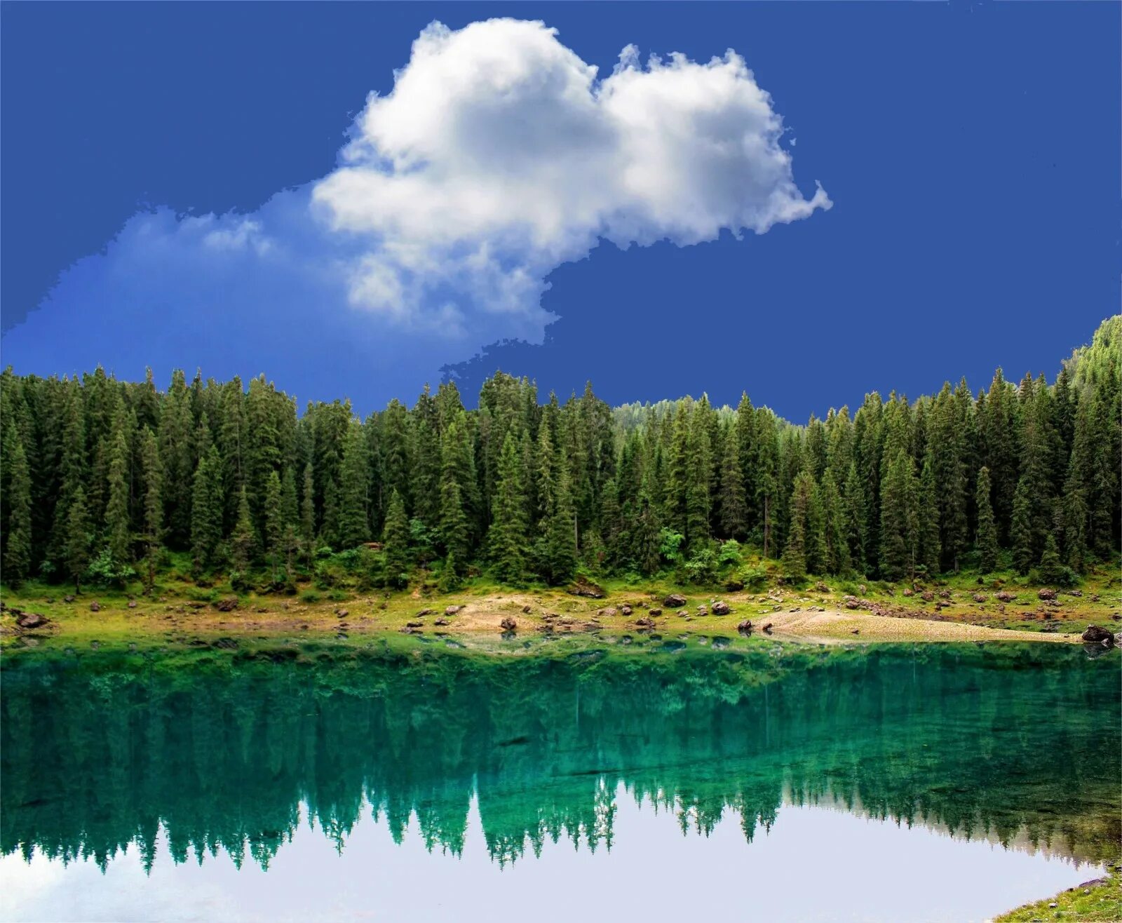 Озеро в лесу прическа Wallpaper : landscape, forest, lake, nature, reflection, sky, wilderness, pond, 