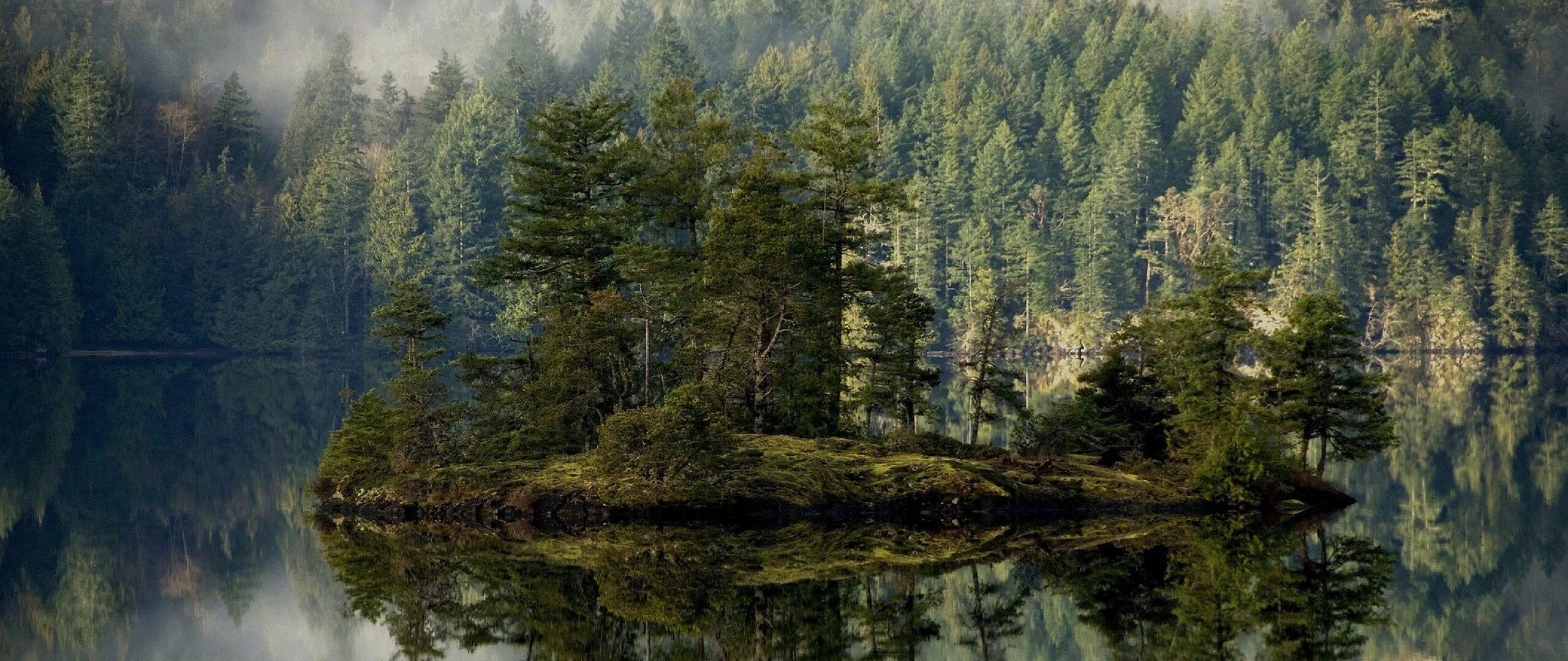 Озеро в лесу прическа Forest Desktop Backgrounds (84+ images)