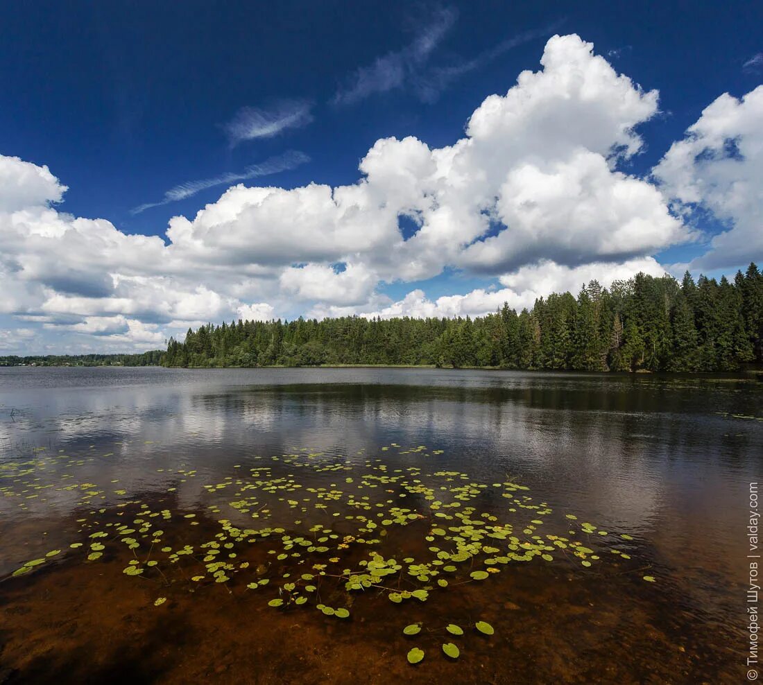 Озеро валдай фото Озеро Нерецкое / Валдайский форум