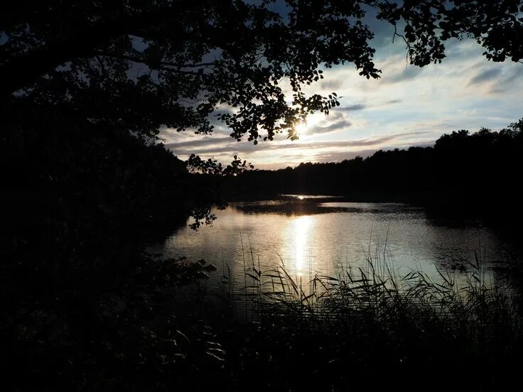 Озеро вечер фото Pin auf Ostsee
