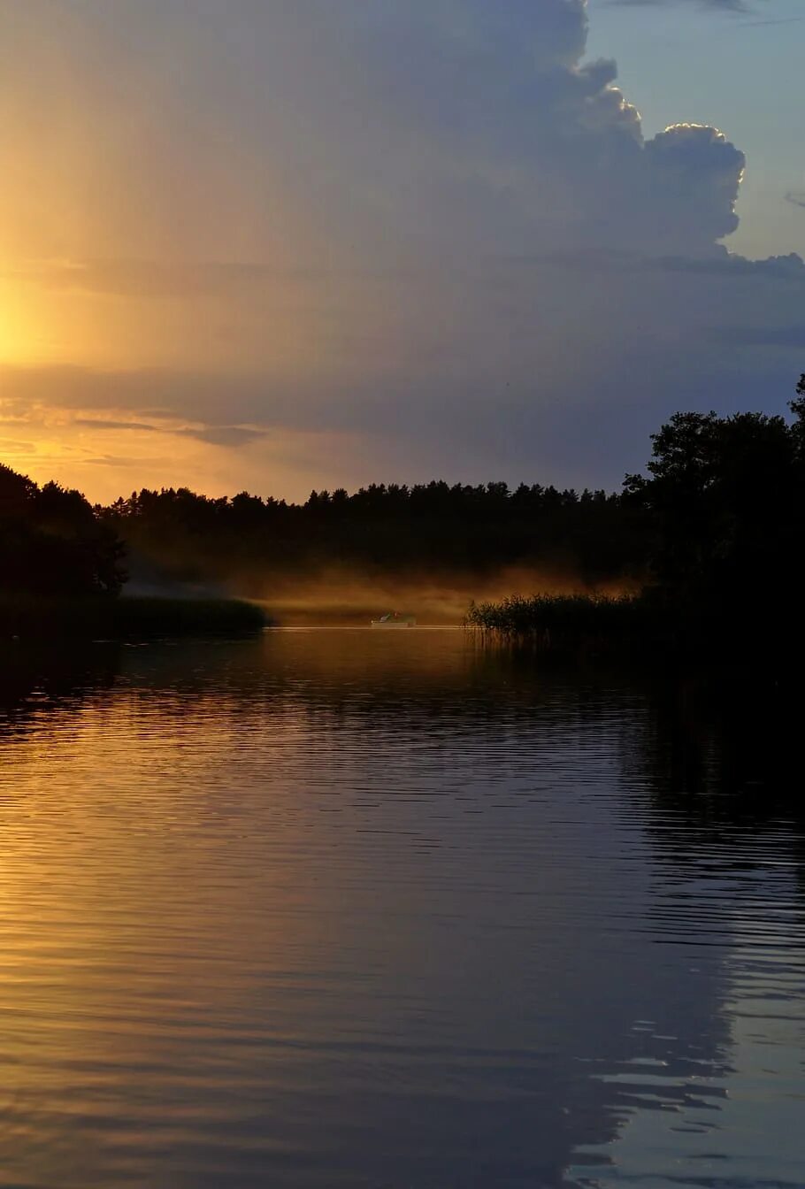 Озеро вечер фото sunset, lake, evening, the fog, clouds, cane, water, tranquility Piqsels